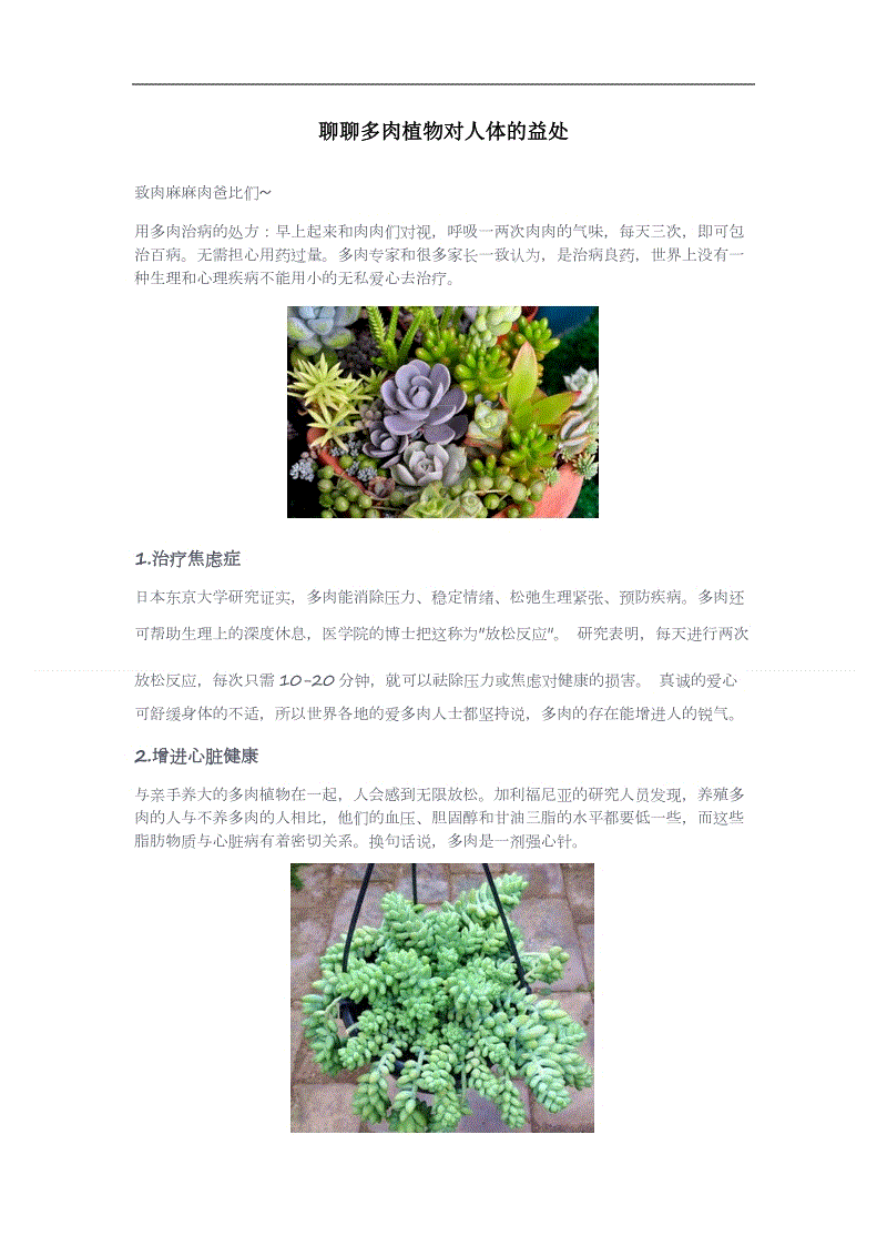 不思议迷宫11.04精英服更新维护公告-亚新体育App下载